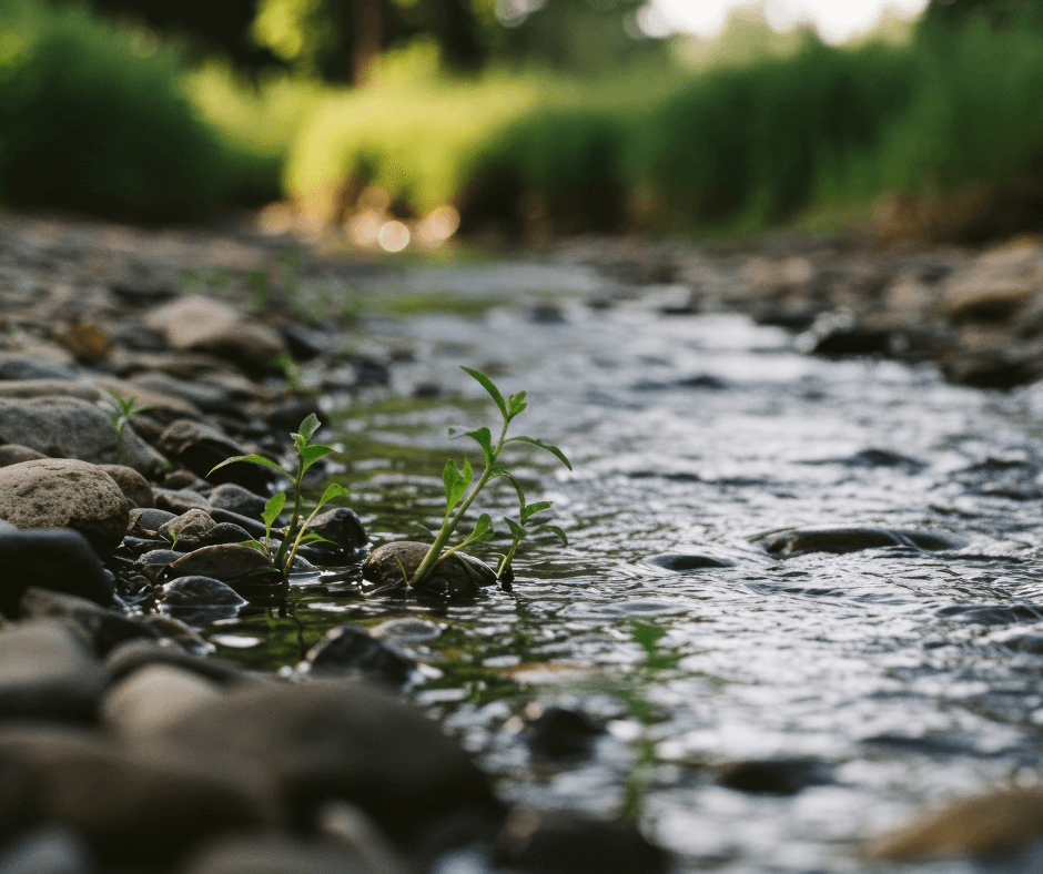 Sloot ter illustratie van regels en situaties rondom de keuze voor een IBA